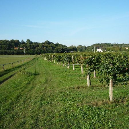 Agriturismo Lupo Bianco Монцамбано Екстериор снимка