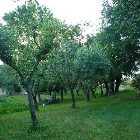 Agriturismo Lupo Bianco Монцамбано Екстериор снимка