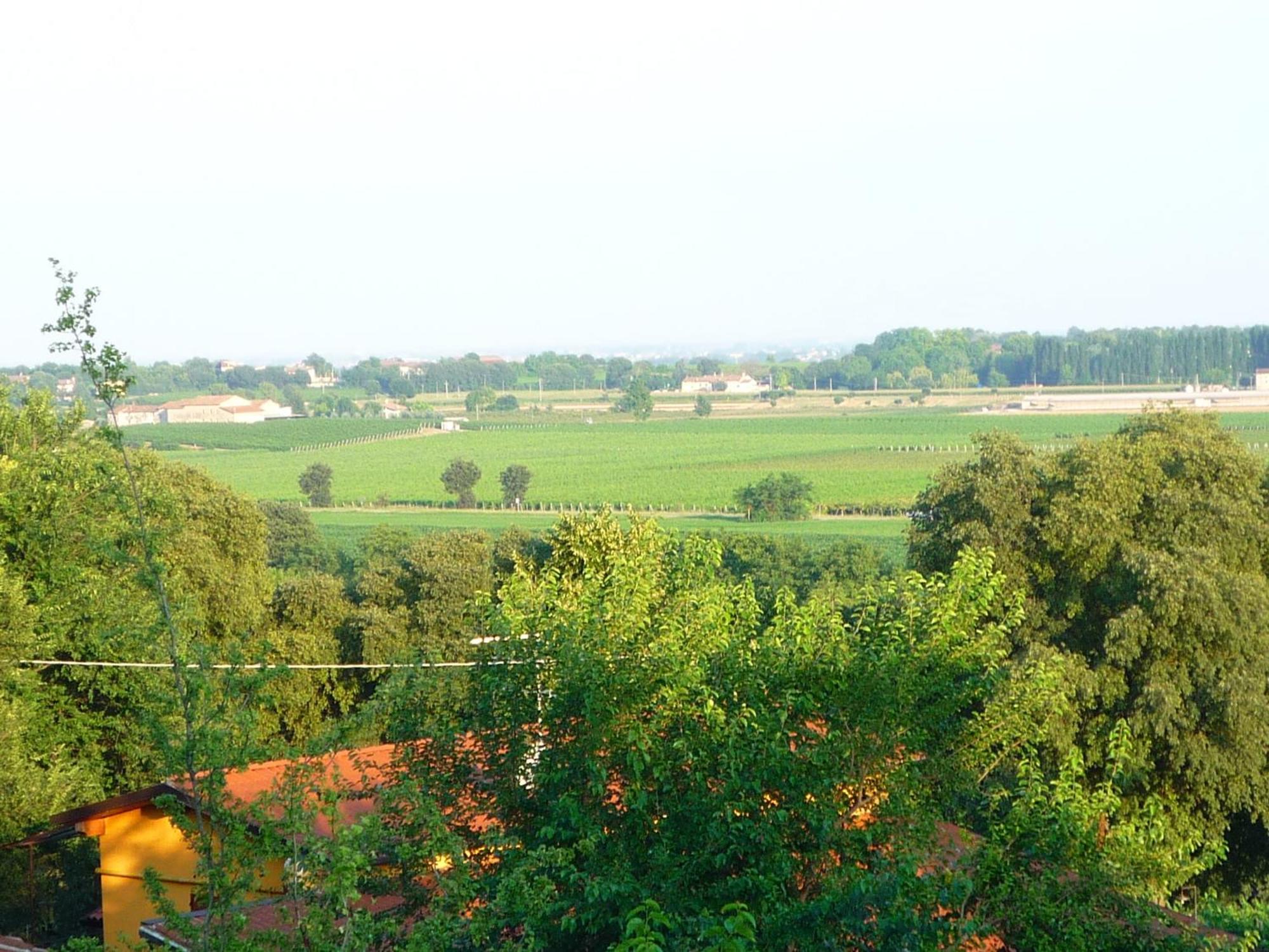 Agriturismo Lupo Bianco Монцамбано Екстериор снимка