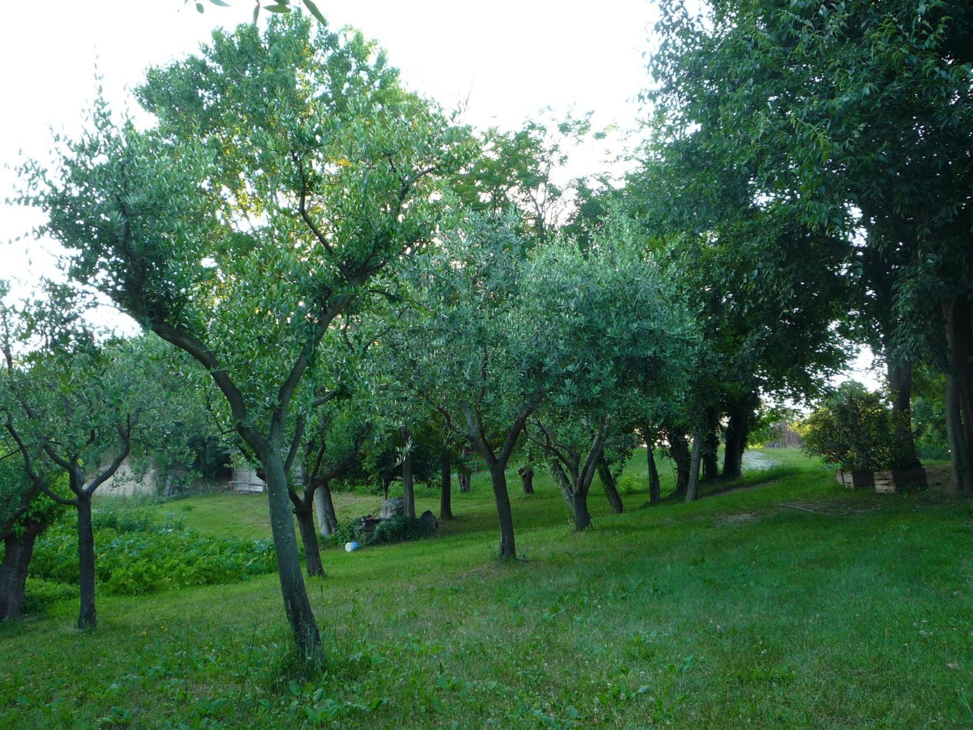 Agriturismo Lupo Bianco Монцамбано Екстериор снимка